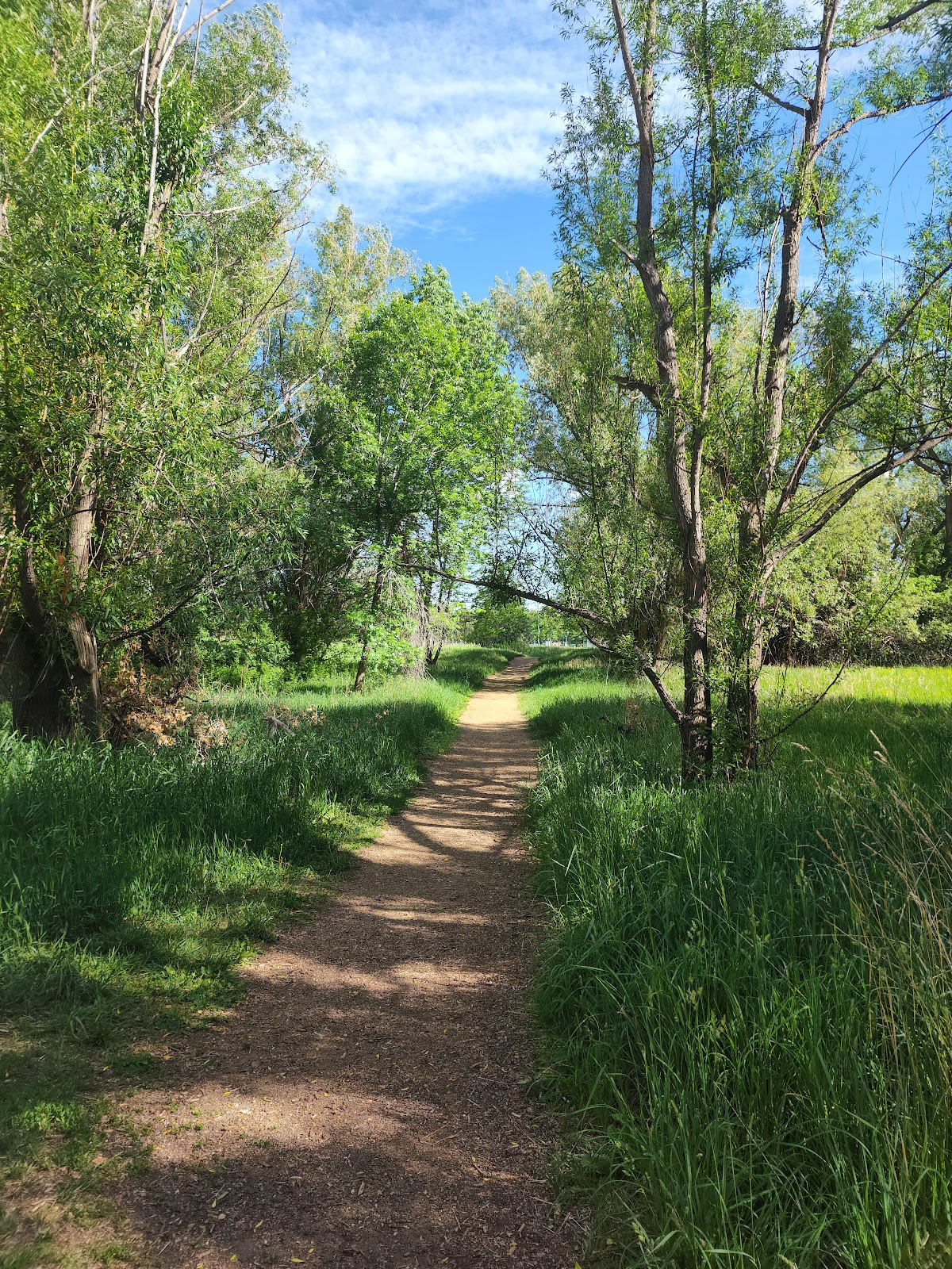 Lee Martinez Community Park - Photo 3