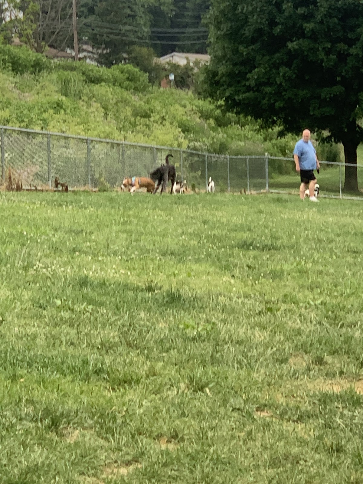 Lehigh Valley Sport Fields - Photo 2