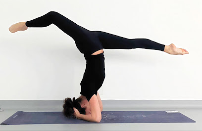 Les Colibris Yoga - Le Mans - Vinyasa, Ashtanga, Prénatal, Postnatal - Photo principale