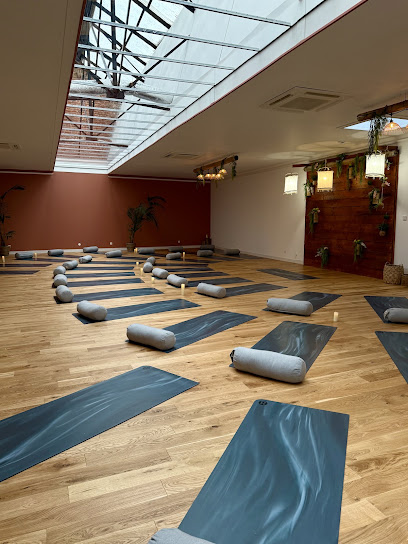 Les Yogis