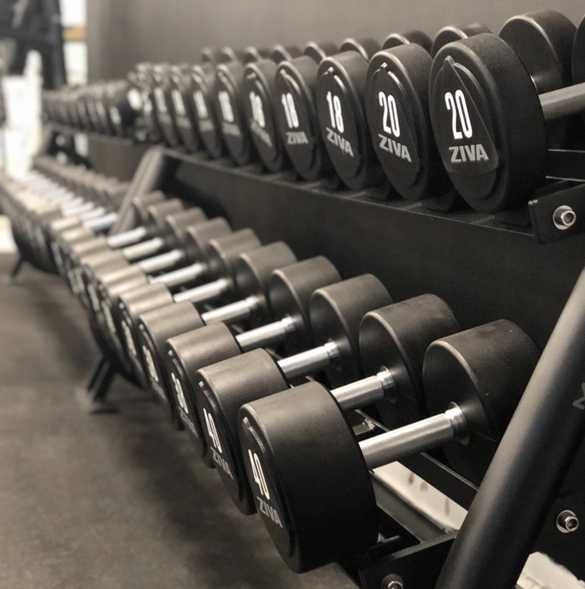 Level Zone Fitness Hyères - Photo 3