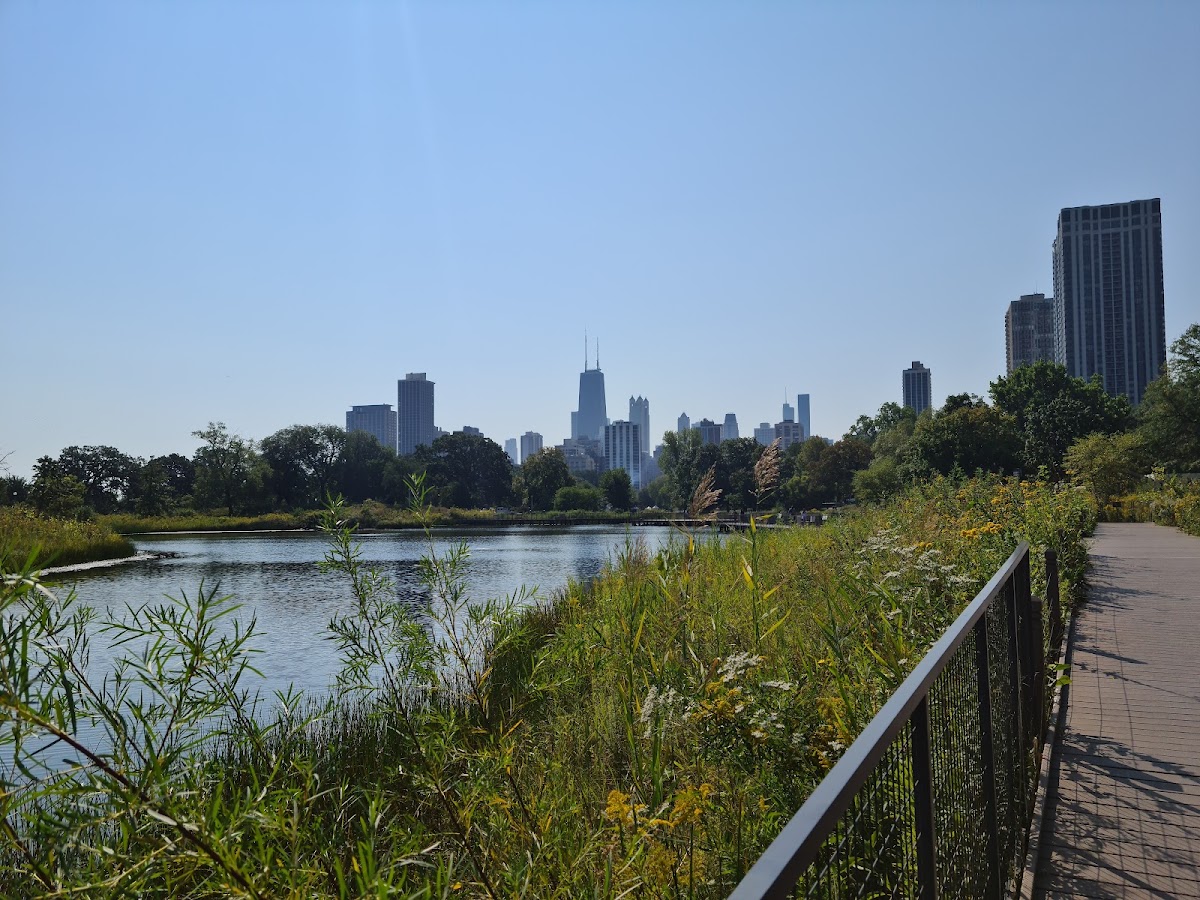Lincoln Park - Photo 1
