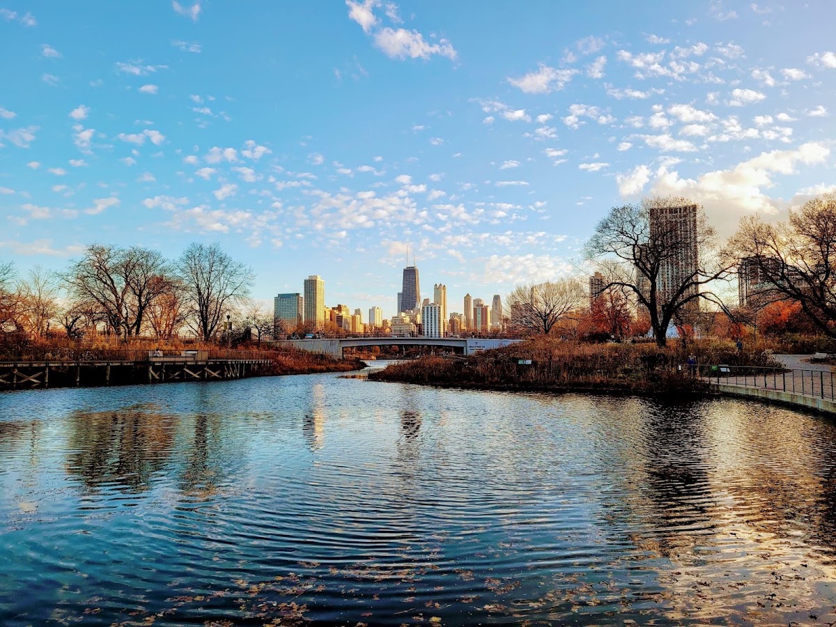 Lincoln Park - Photo 2