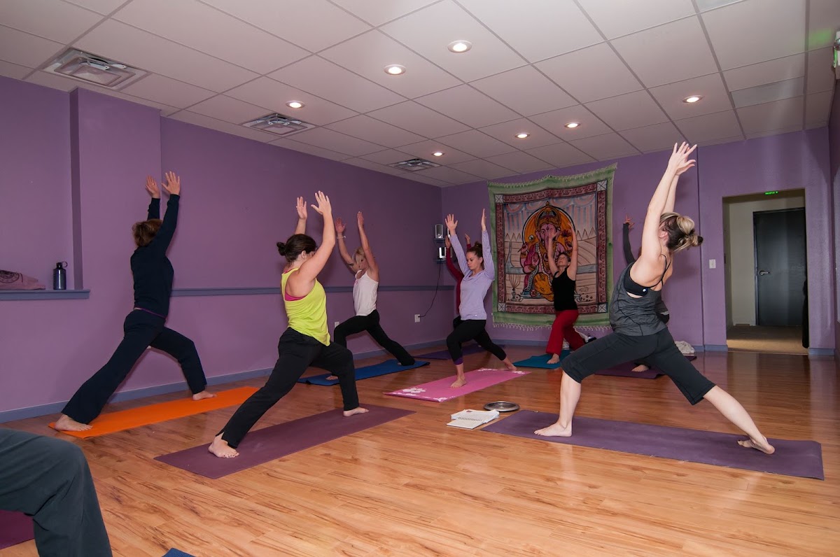 Little Lotus Yoga - Photo 2