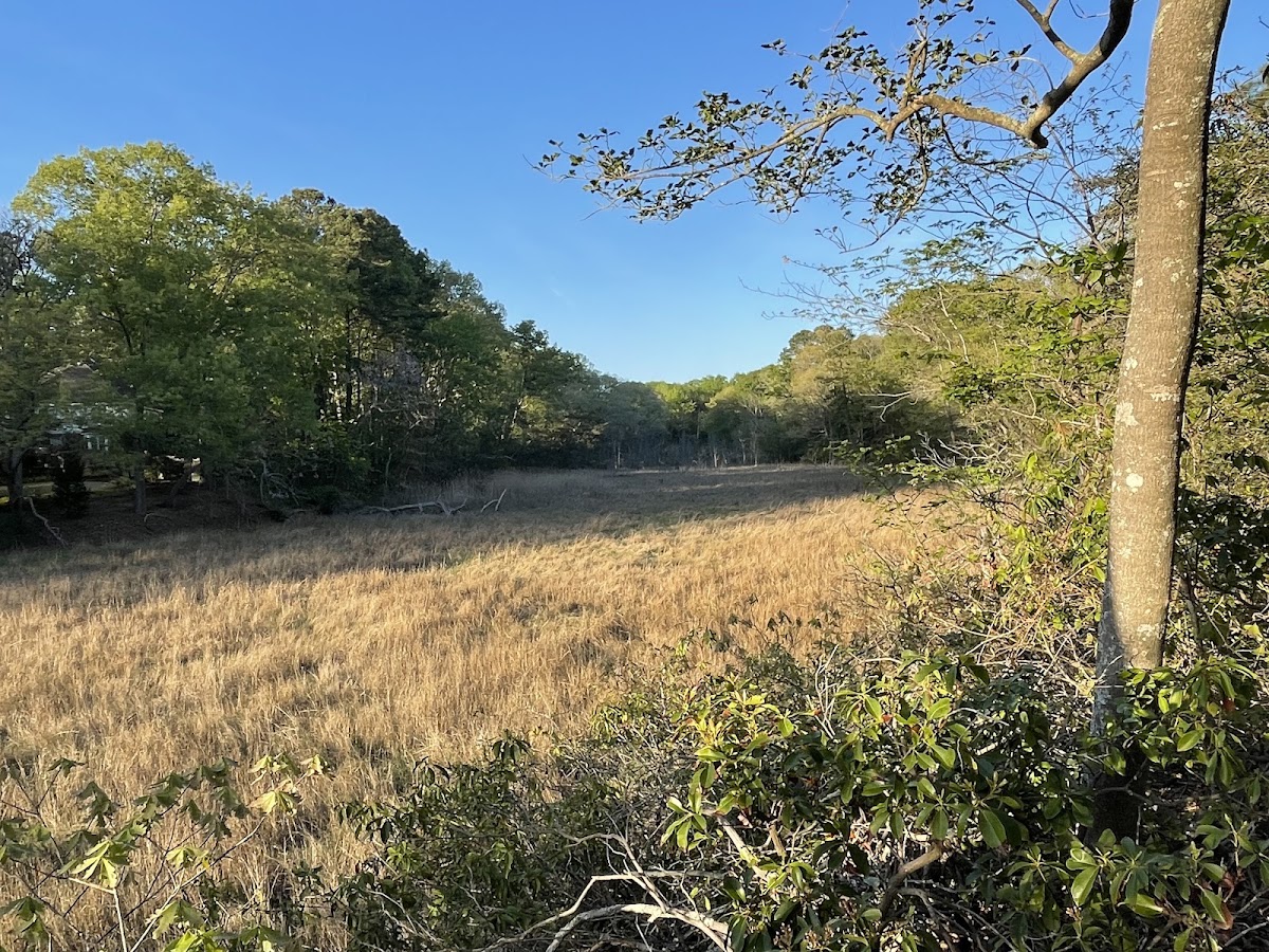 Little Neck Park - Photo 2