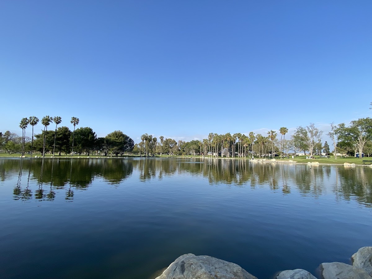 Little Saigon Sports Club - Photo 1