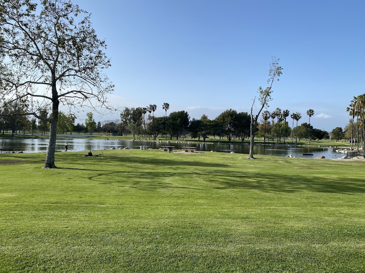 Little Saigon Sports Club - Photo 2