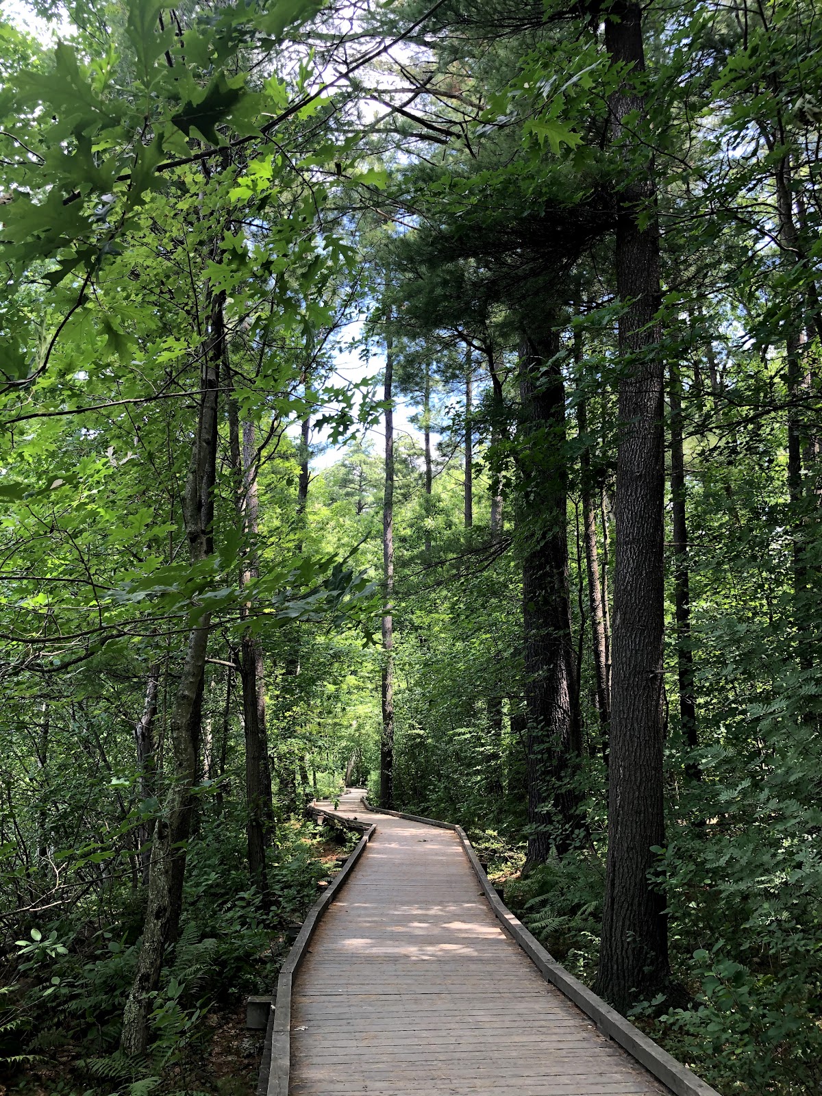 Livingston Park - Photo 2