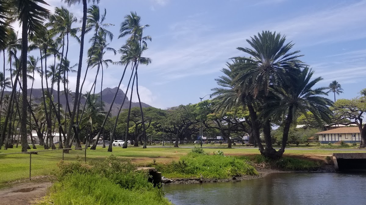 Lokahi Canoe Club - Photo 1