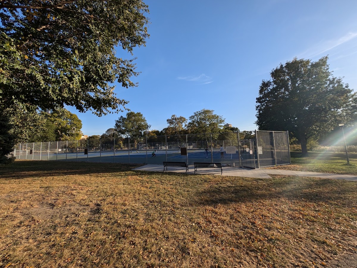 Loring Park Tennis Courts - Photo 3
