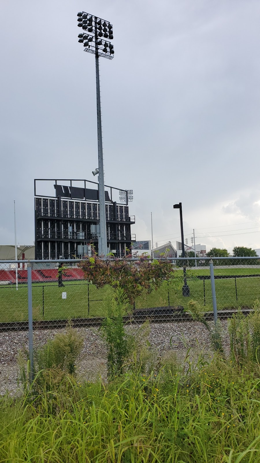 Louisville Soccer - Photo 3