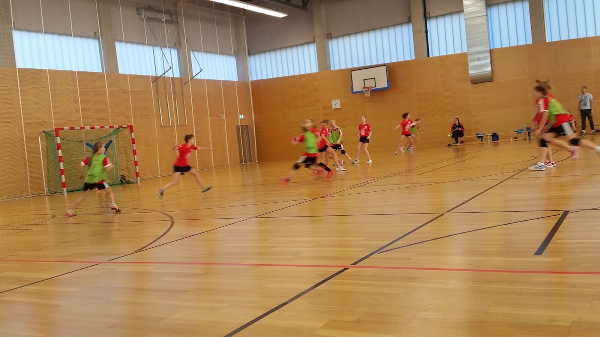 LSV Südwest Handball - Photo 1