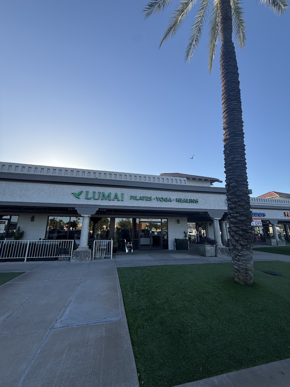 Lumai - Photo 3