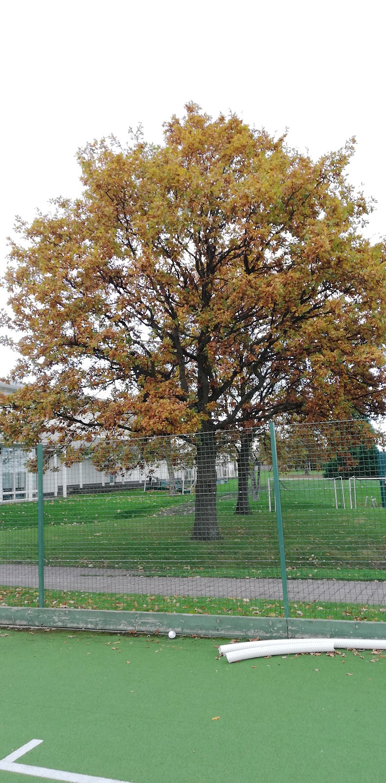 M E S Sports Centre - Photo 1