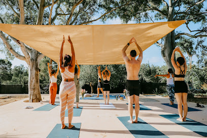 Maison Sauvage Yoga - Photo principale