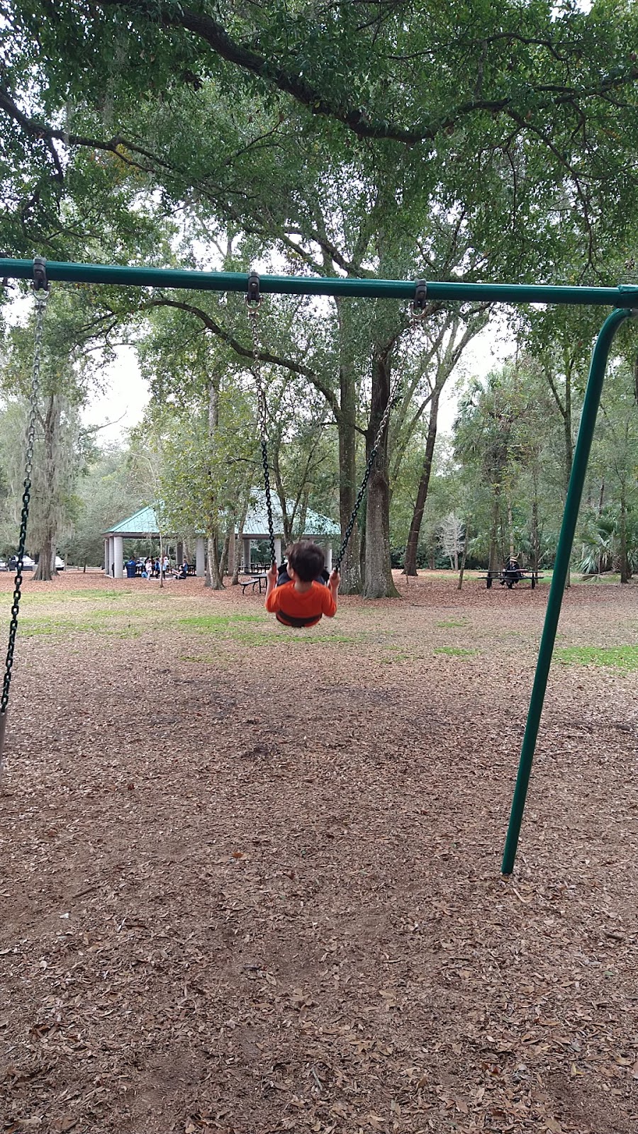 Maitland Community Park - Photo 3