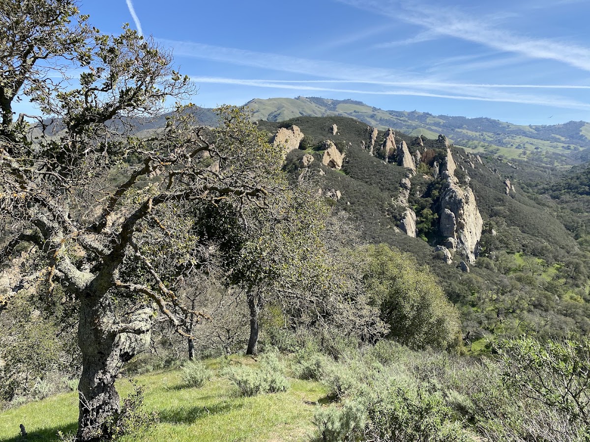 Mammoth Rock