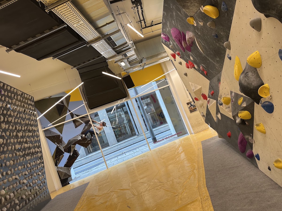 Mandala - Boulderhalle Dresden (auch an Feiertagen geöffnet)) - Photo 3