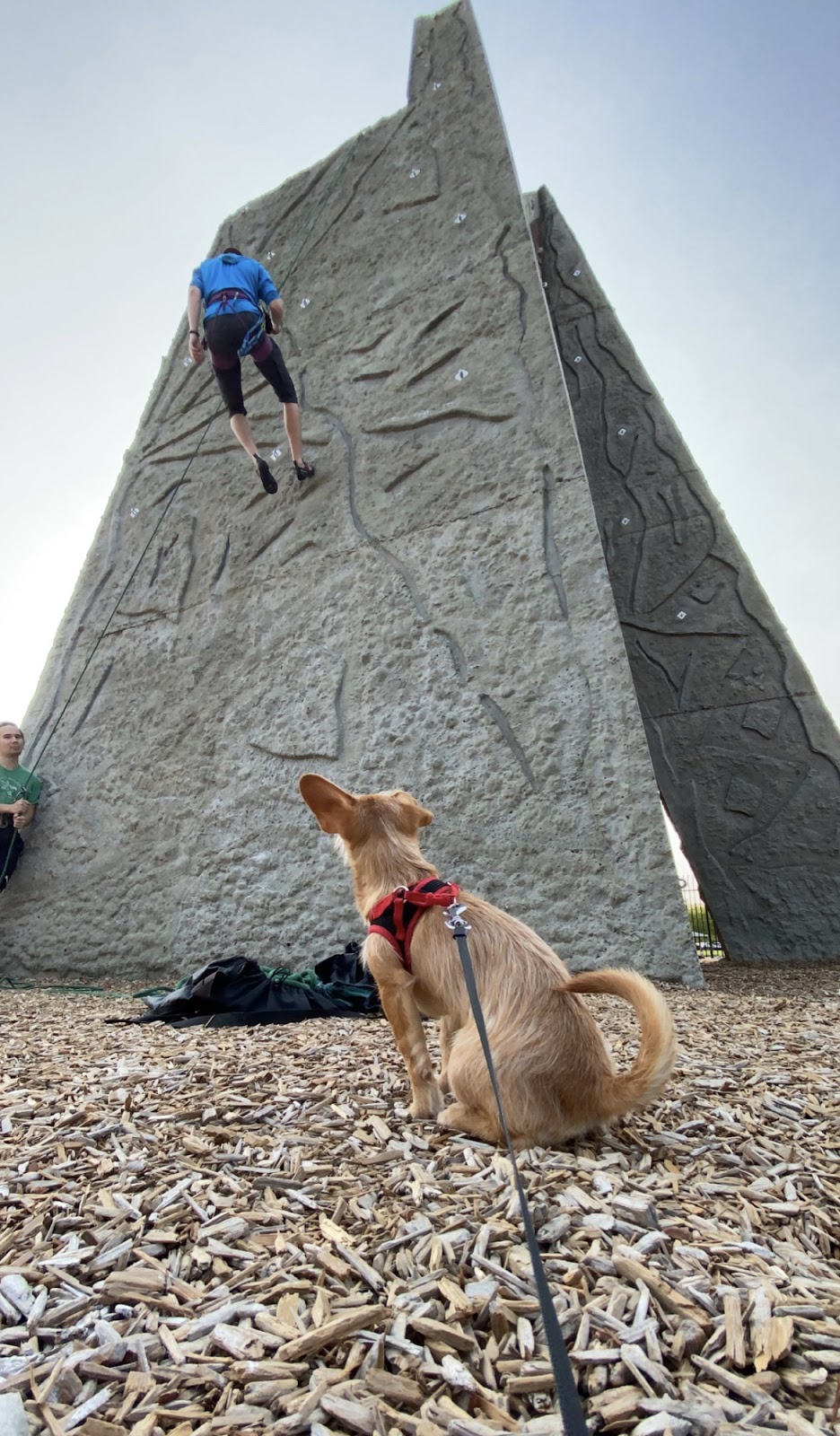 Marymoor Climbing Wall - Photo 3