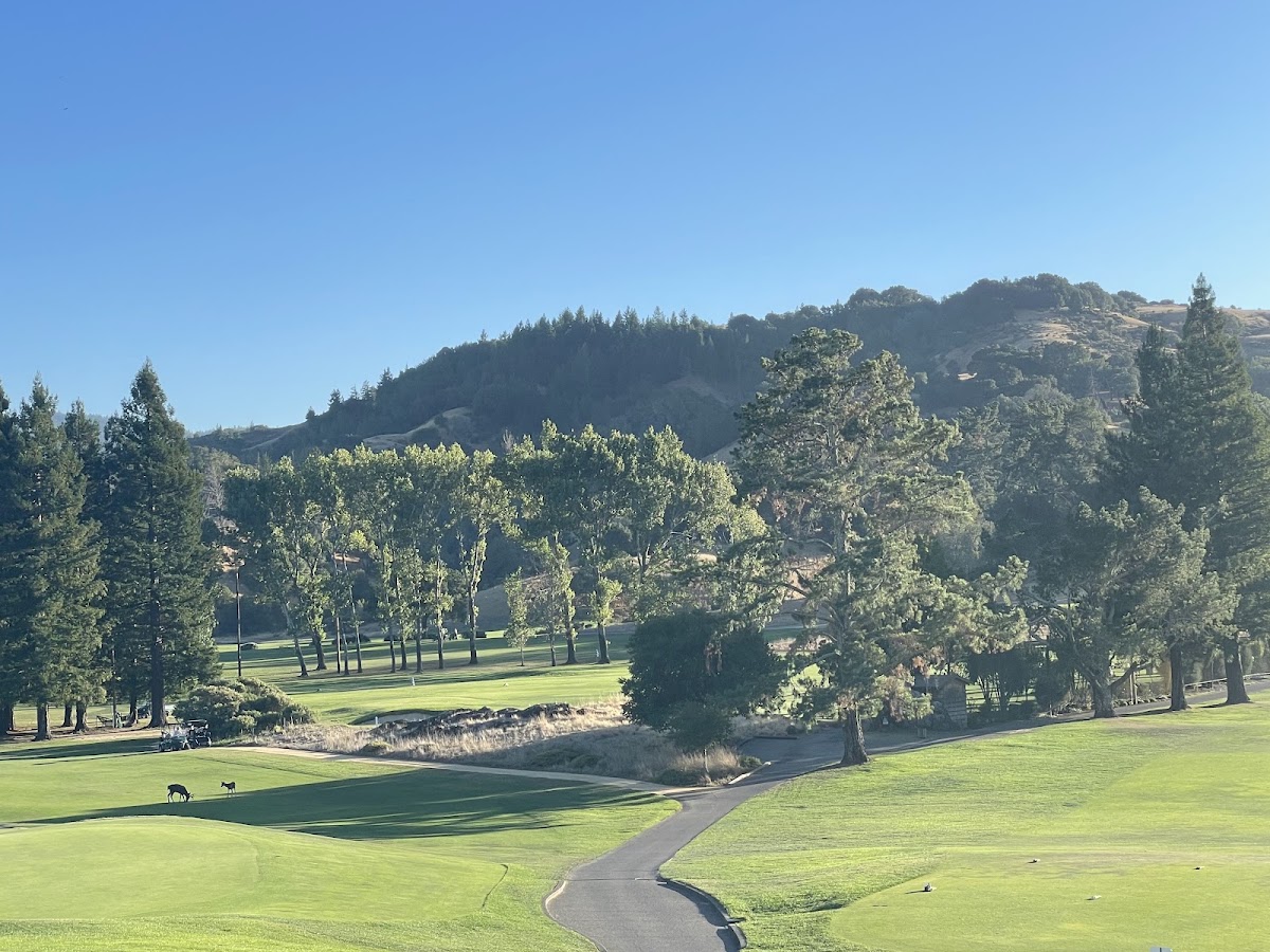 Meadow Club - Photo 1
