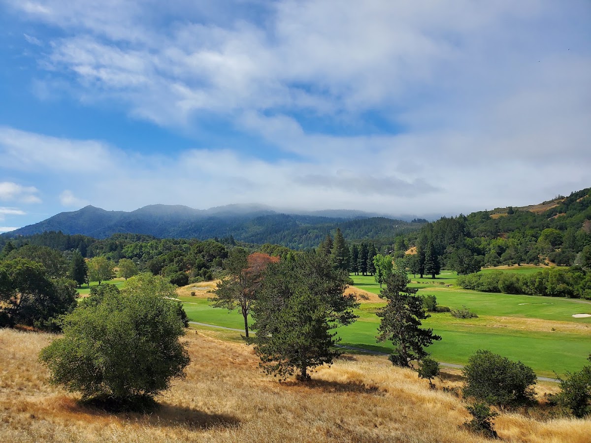 Meadow Club - Photo 3