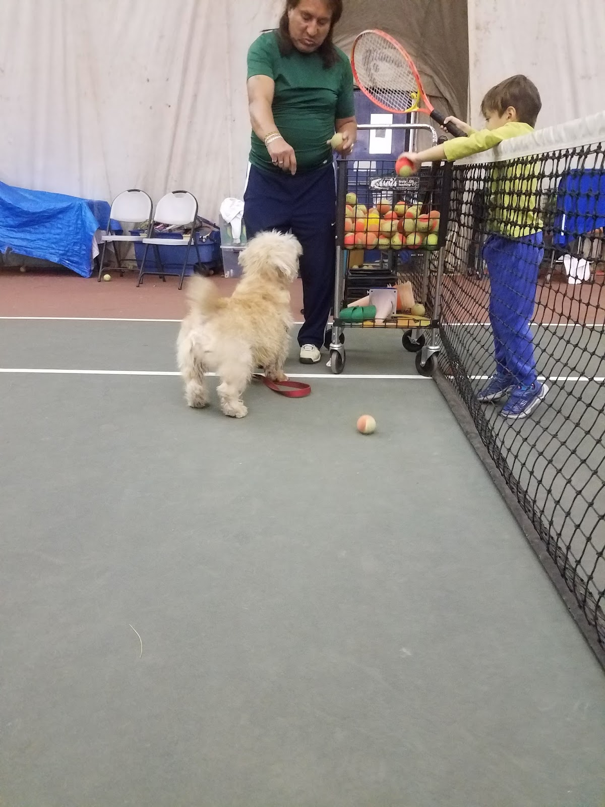 Mel Stillman Community Tennis Center - Photo 2