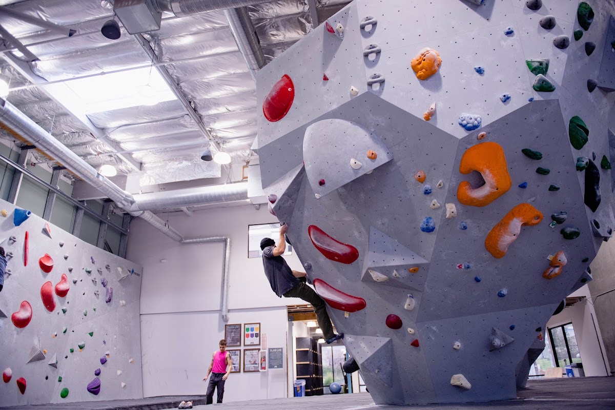 Mesa Rim Climbing Center (Mira Mesa) - Photo 2