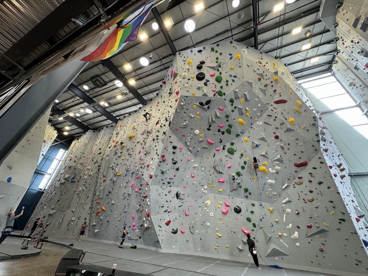 Mesa Rim Climbing Center (North City) - Photo 2