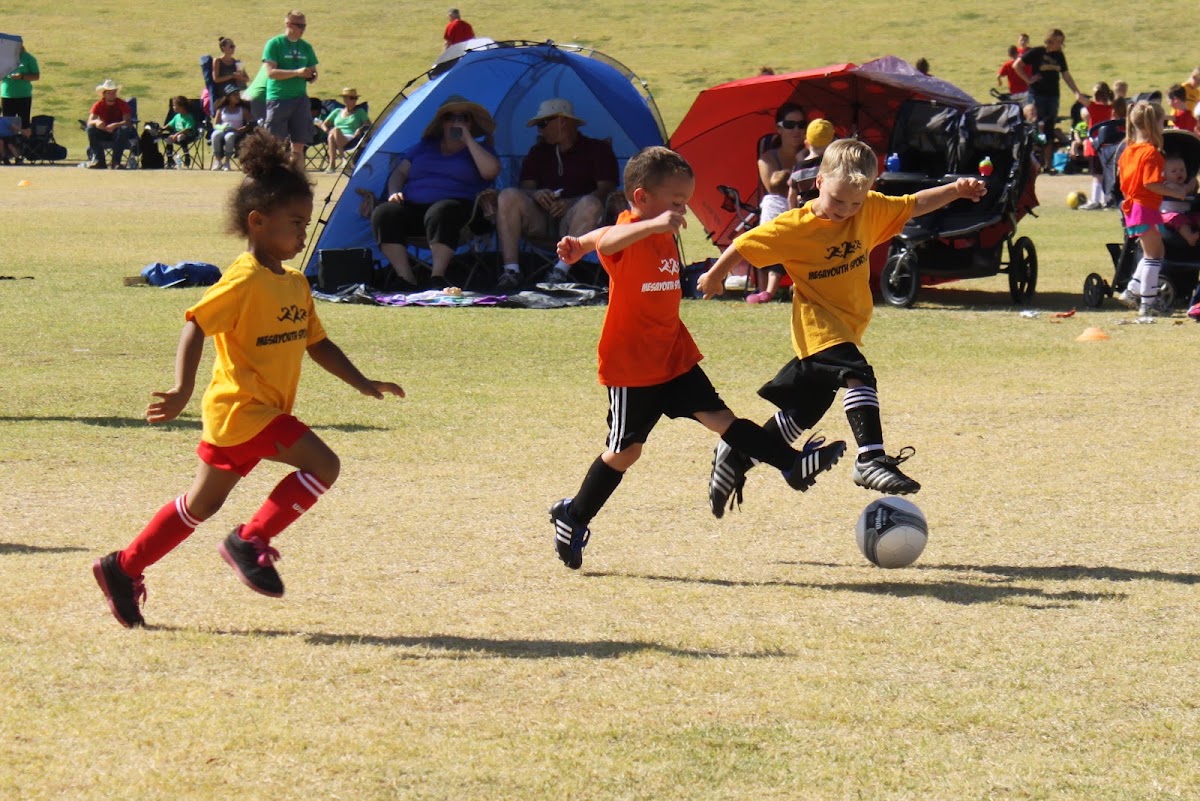 Mesa Youth Sports - Photo 3