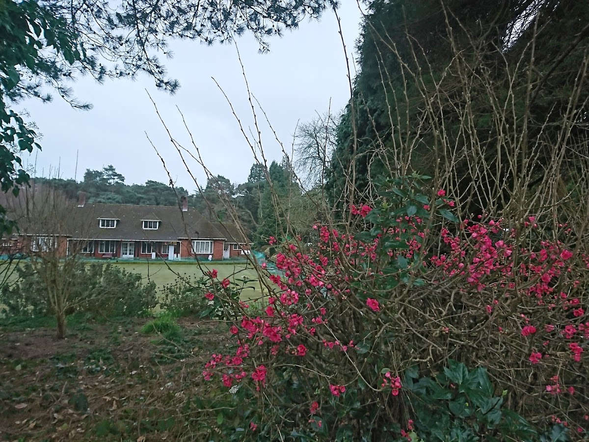 Meyrick Park Tennis Club - Photo 3