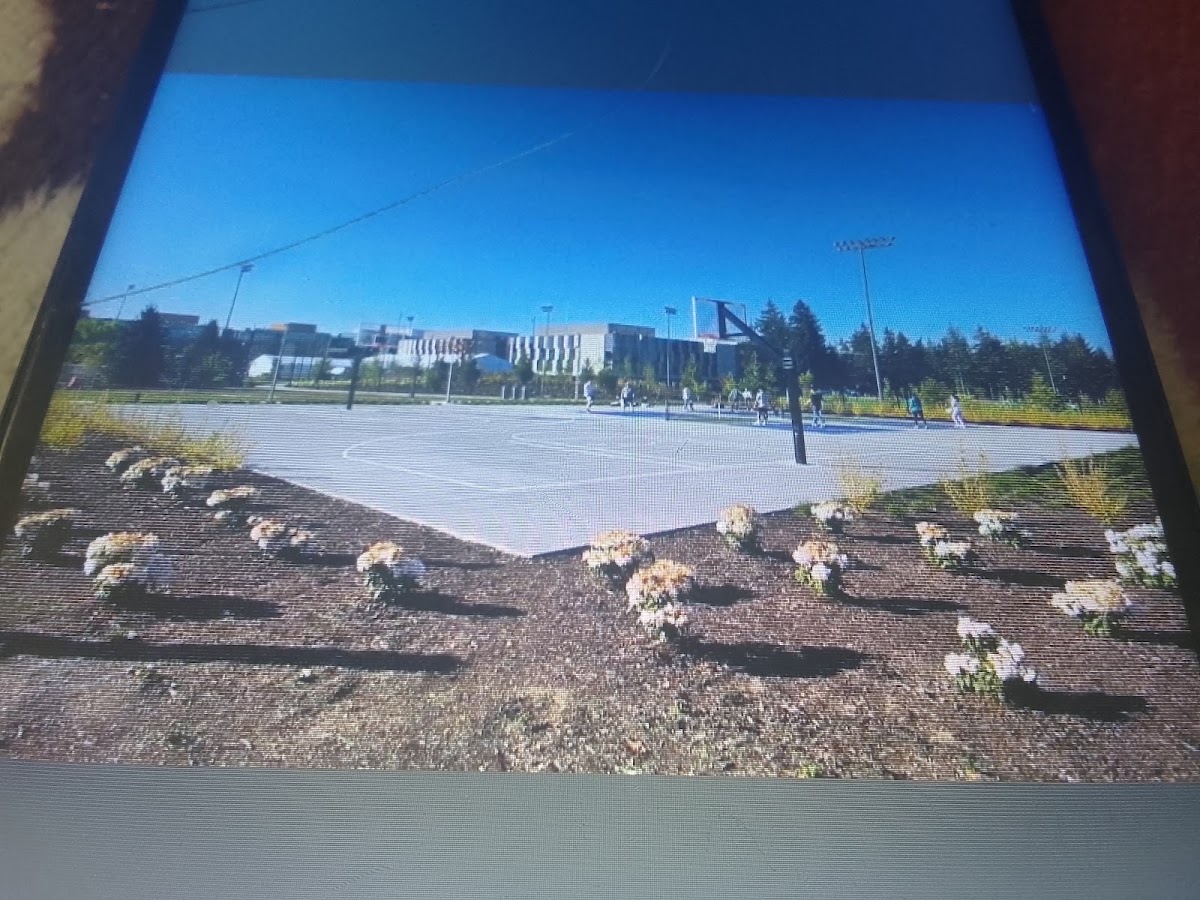 Microsoft Basketball & Pickleball Courts - Photo 2