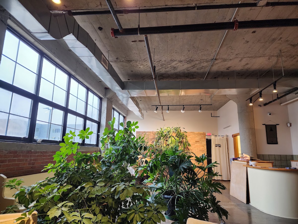 Midtown Yoga Wellness Center - Photo 2