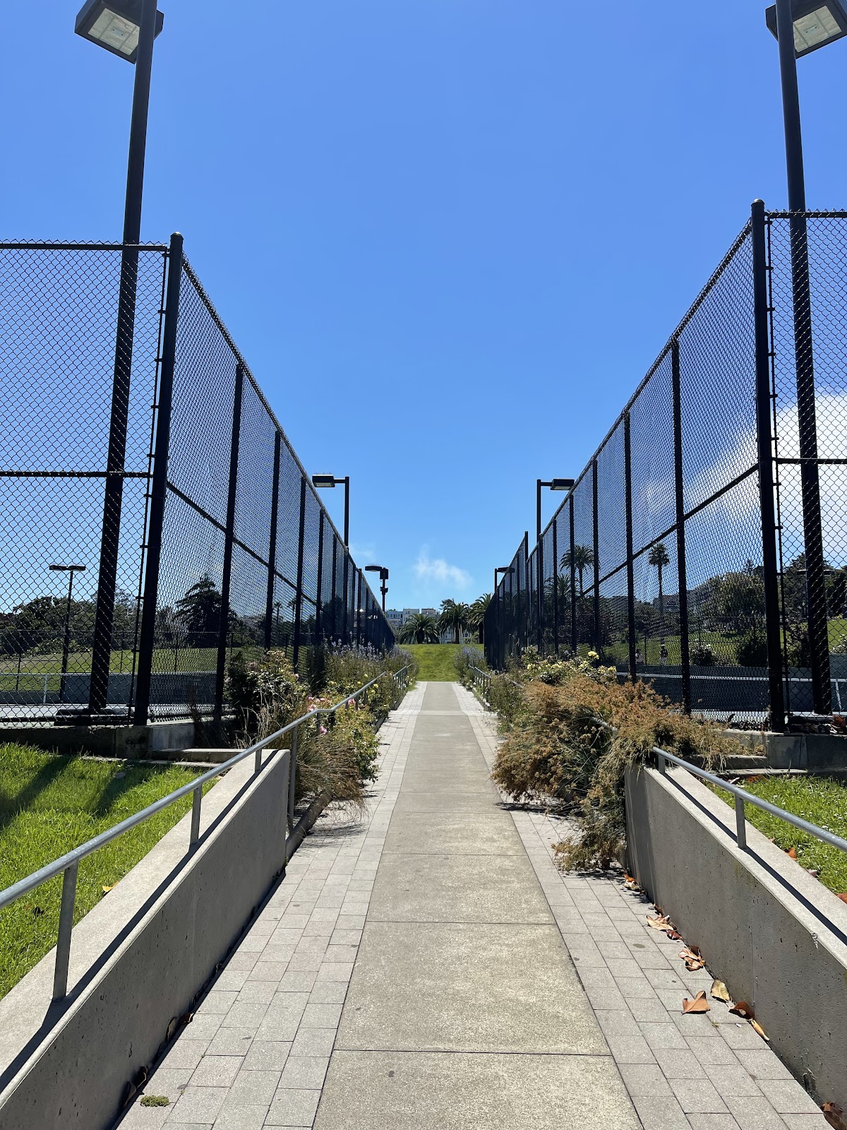 Mission Dolores Tennis Courts - Photo 2