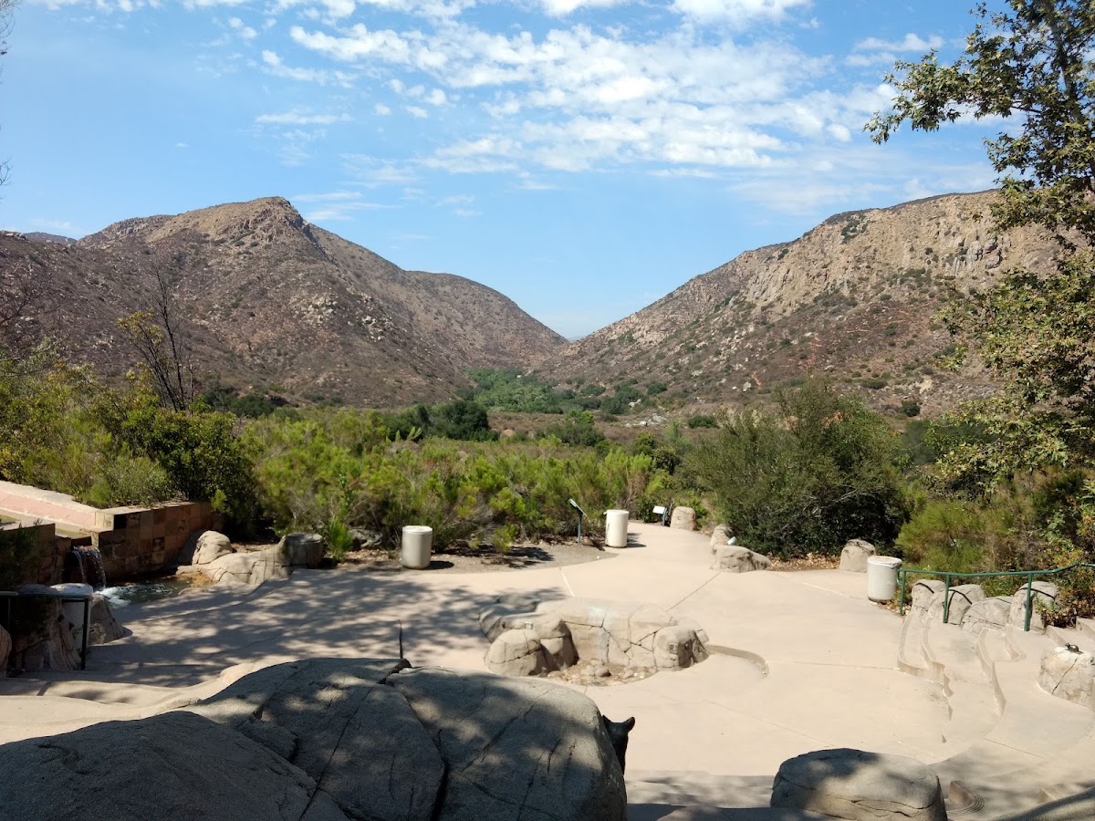 Mission Gorge Climbing - Photo 3