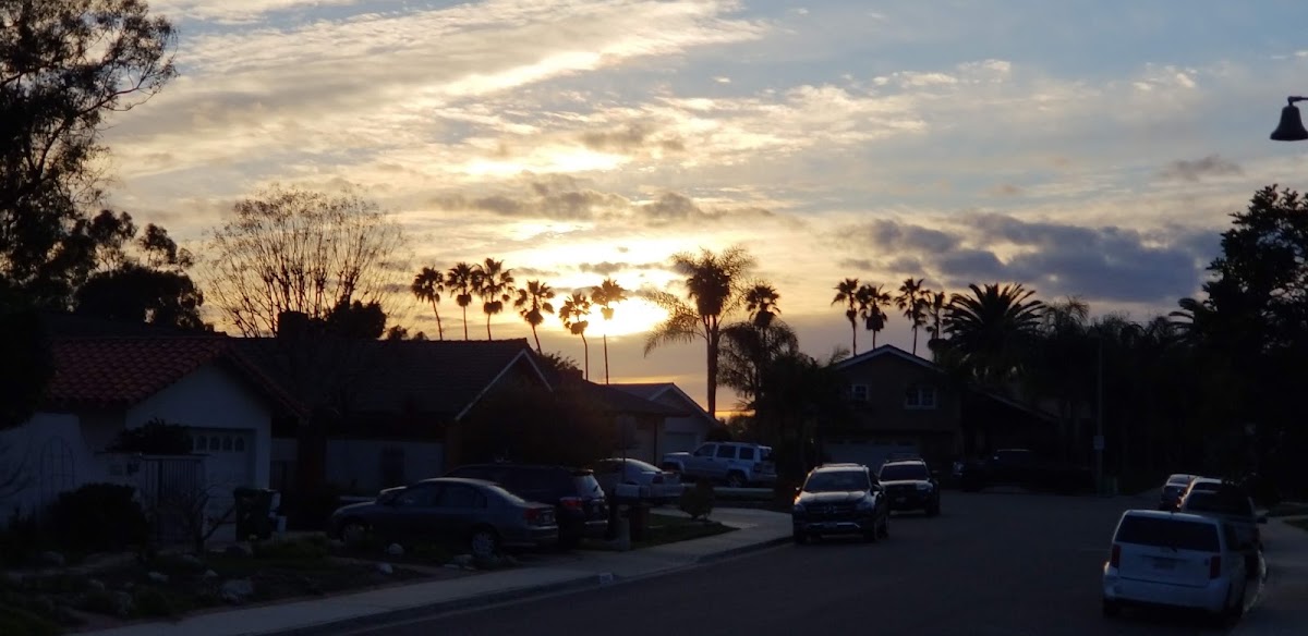 Mission Viejo Swim and Racquet Club - Photo 3