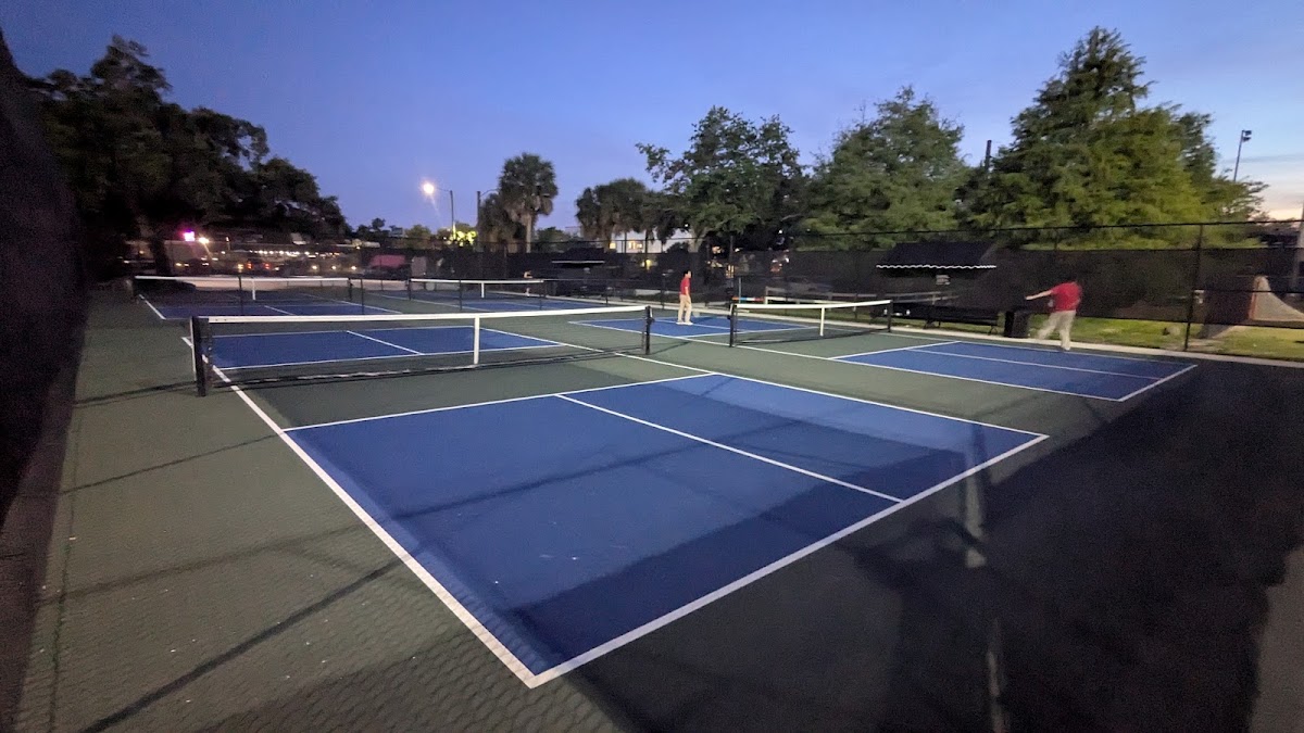 MLK Jr. Park pickleball courts - Photo 2