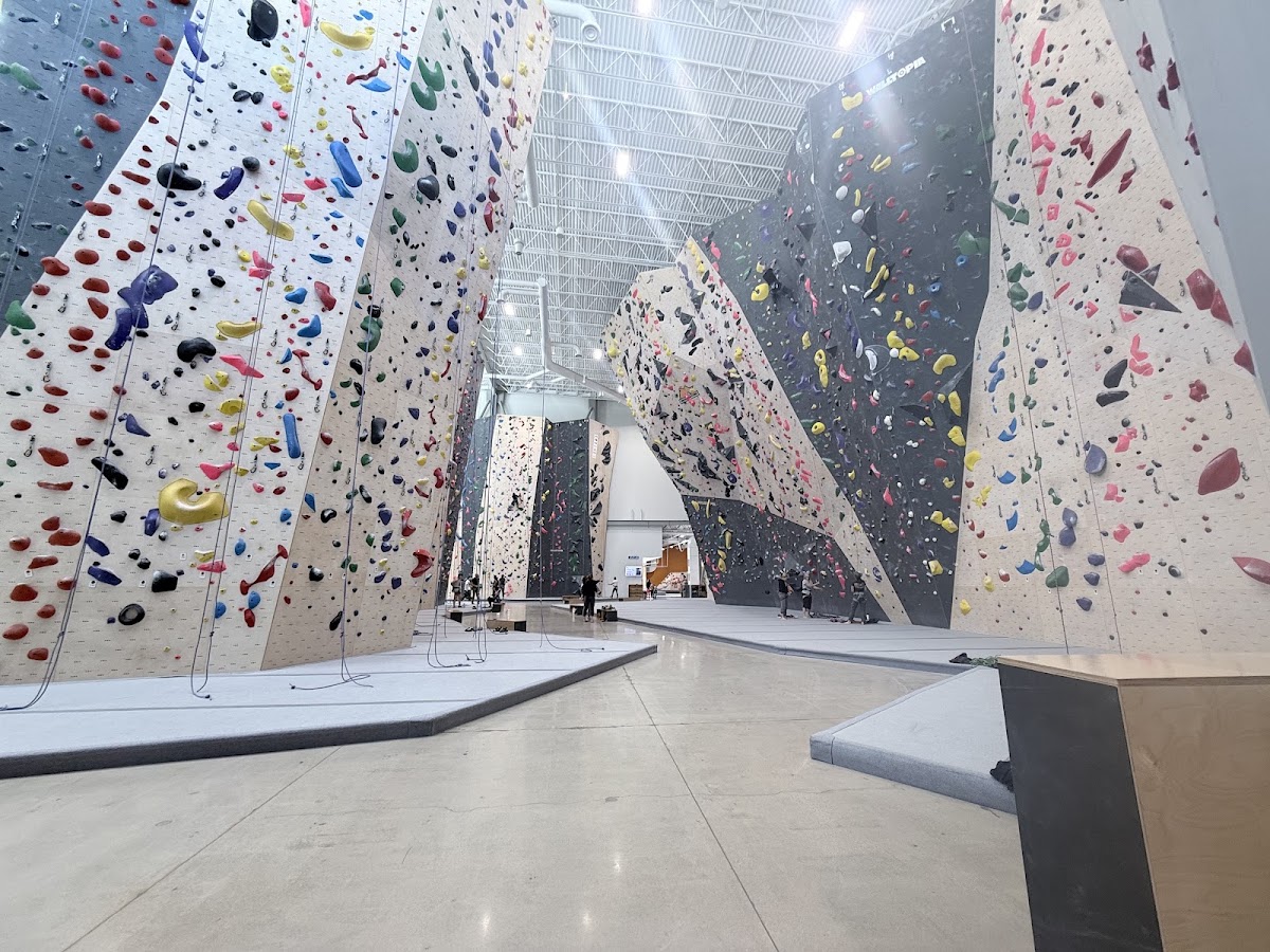 Momentum Indoor Climbing Fort Union - Photo 2