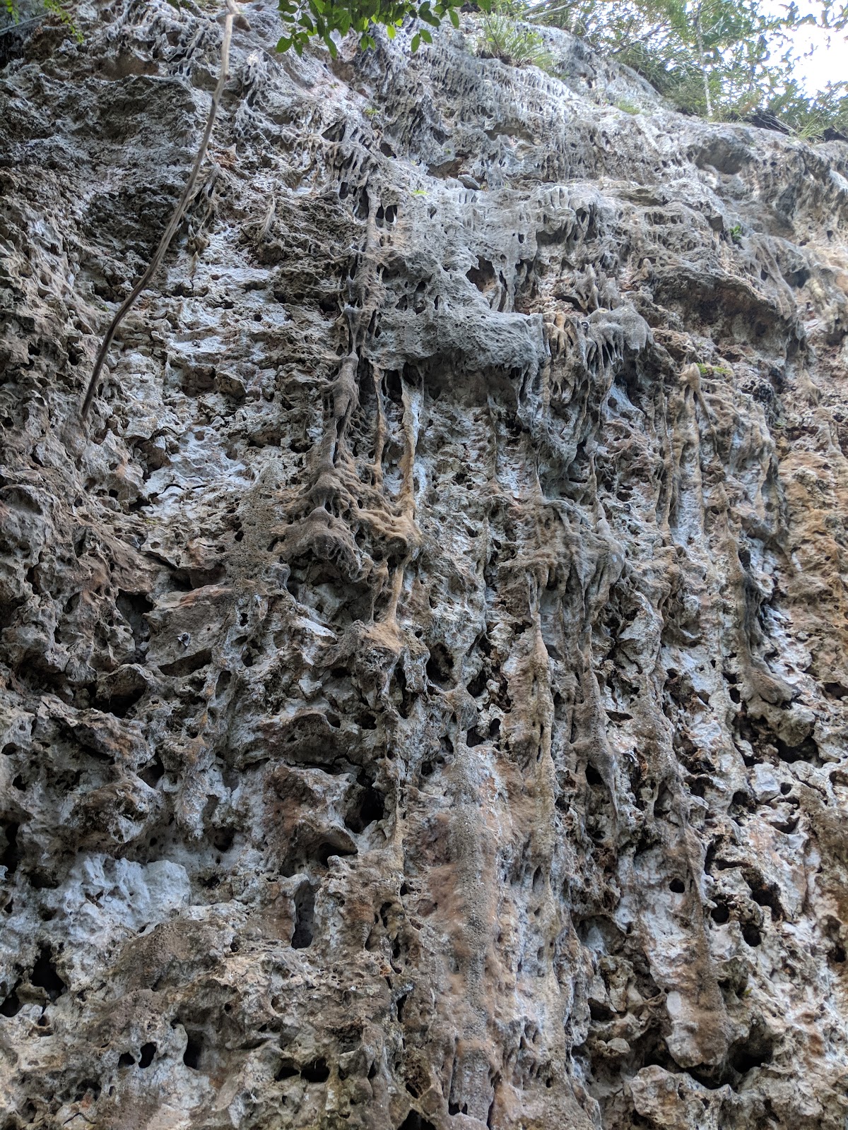 Monagas Rock Climbing (a.k.a. Nuevo Bayamón)