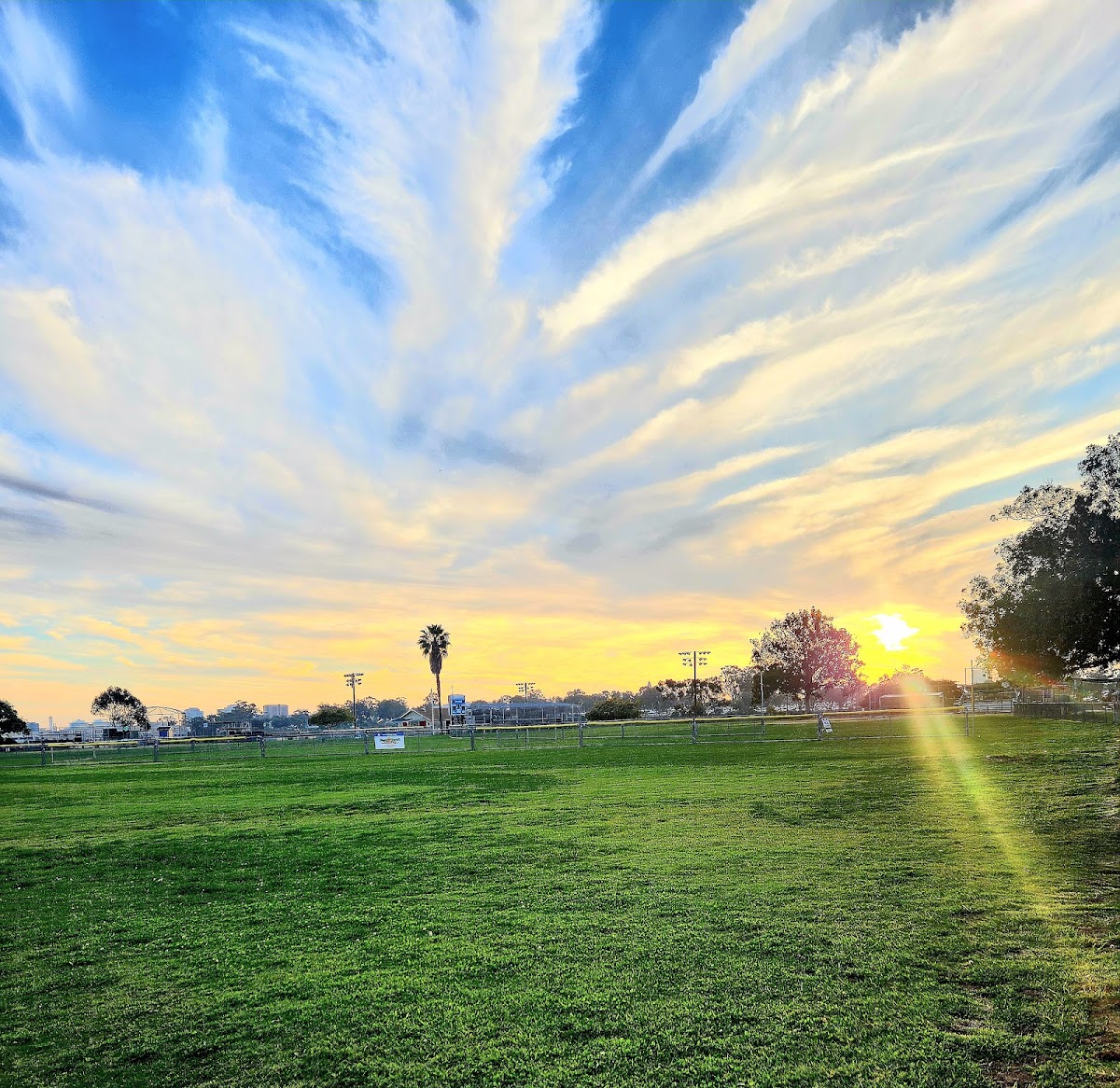 Morley Field Sports Complex - Photo 3
