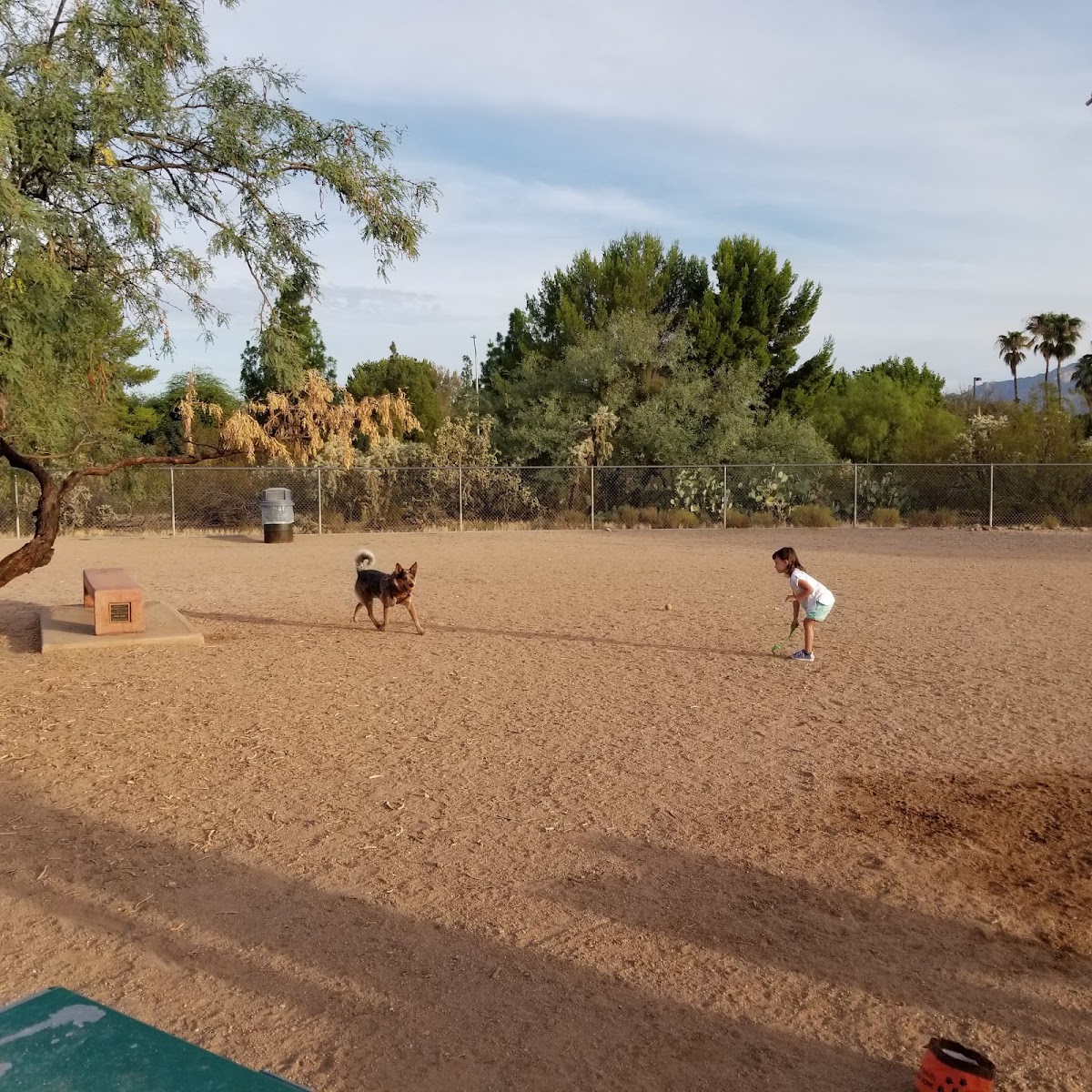 Morris K Udall Park and Recreation Center - Photo 2