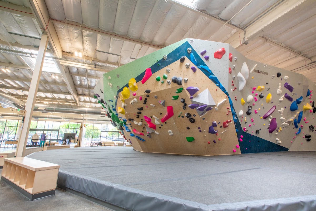 Movement Mountain View - Photo 1