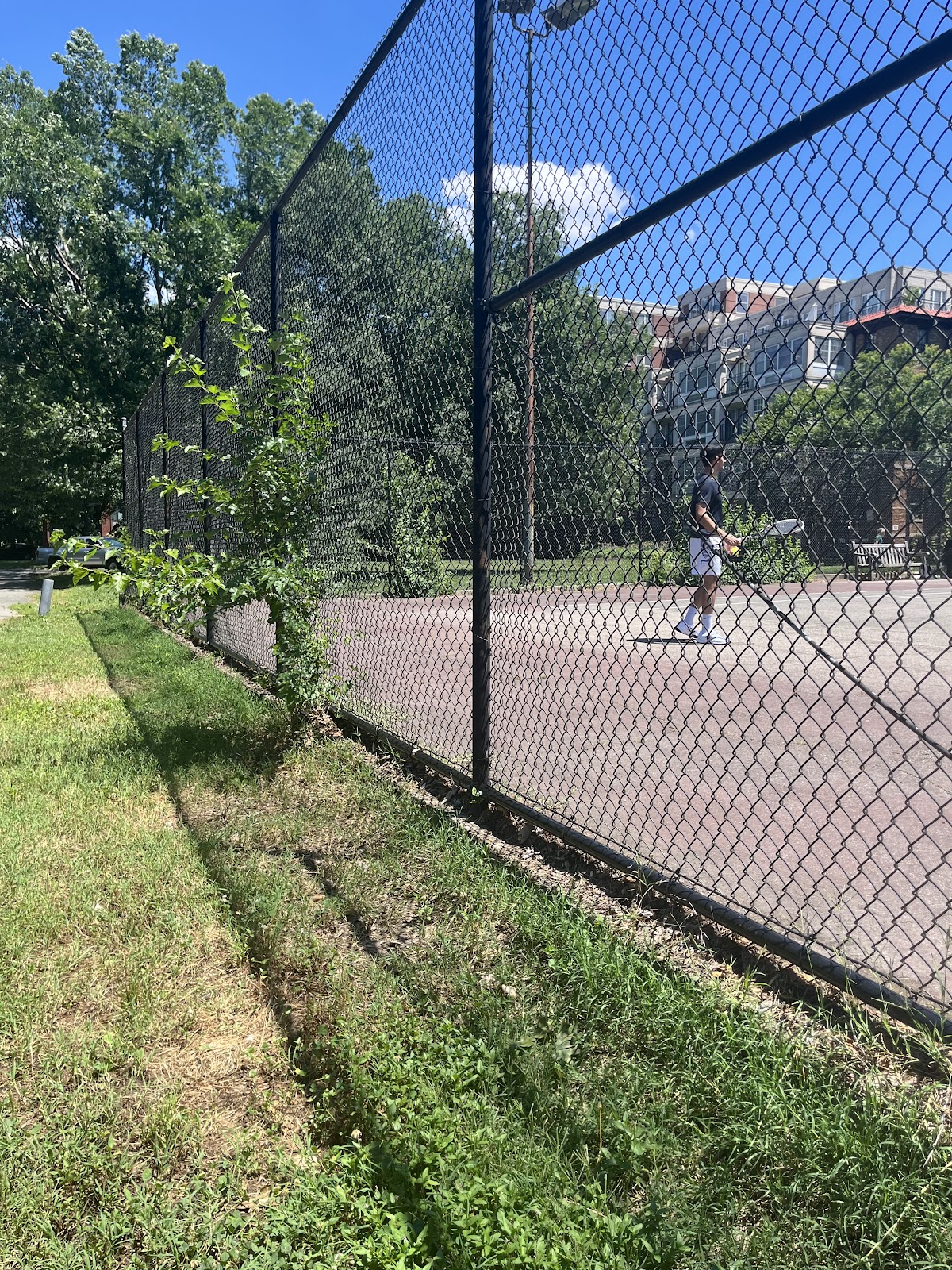 N Street Tennis Courts - Photo 1