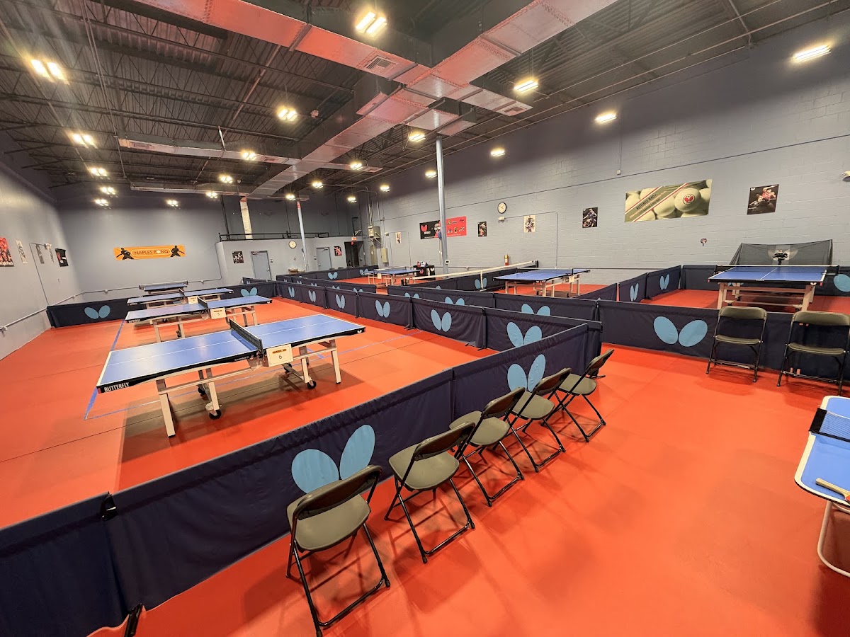 Naples Pong Table Tennis