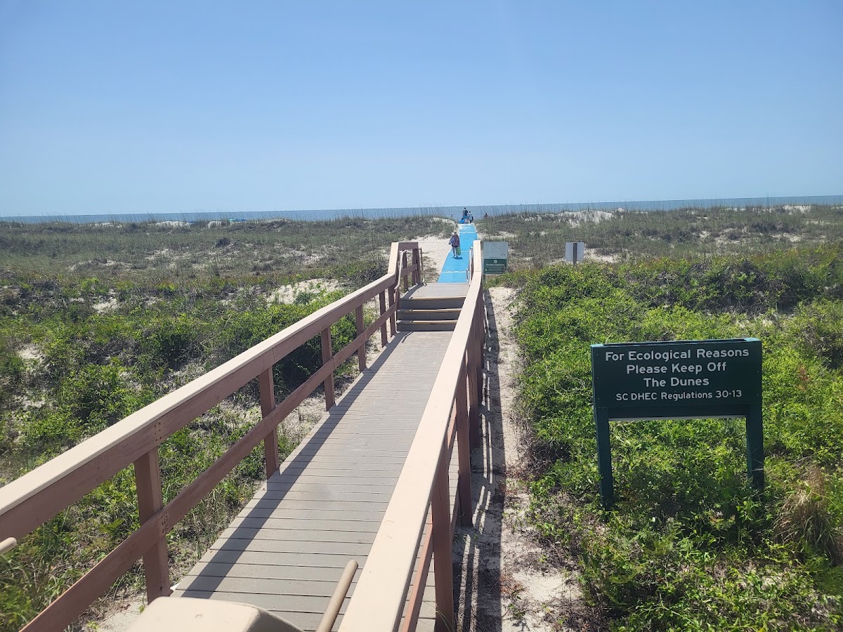 Neptune at Island Club - Photo 1