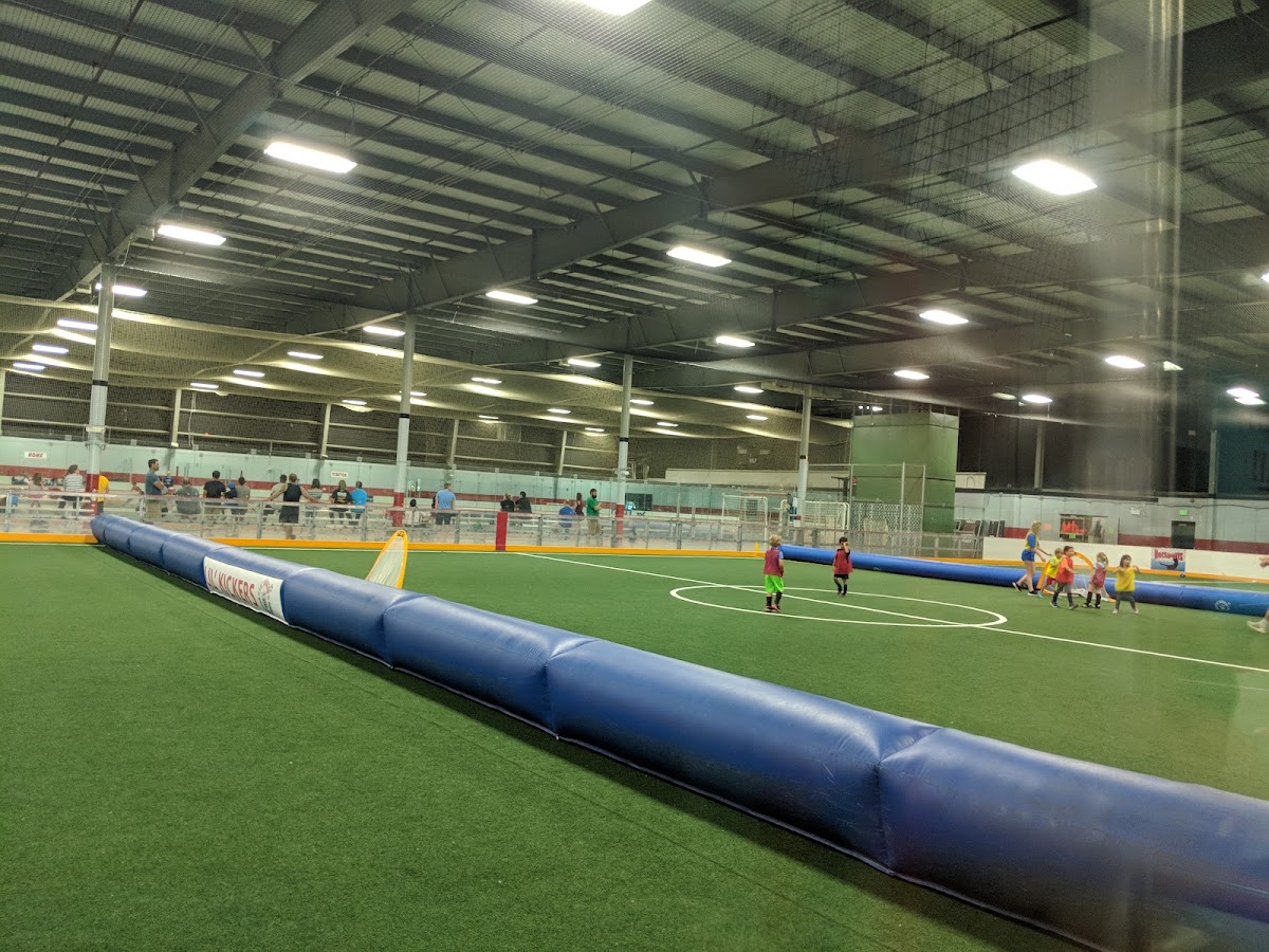 NetSports - Photo 2