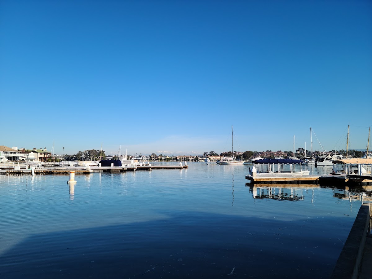 Newport Beach Alano Club INC. - Photo 2
