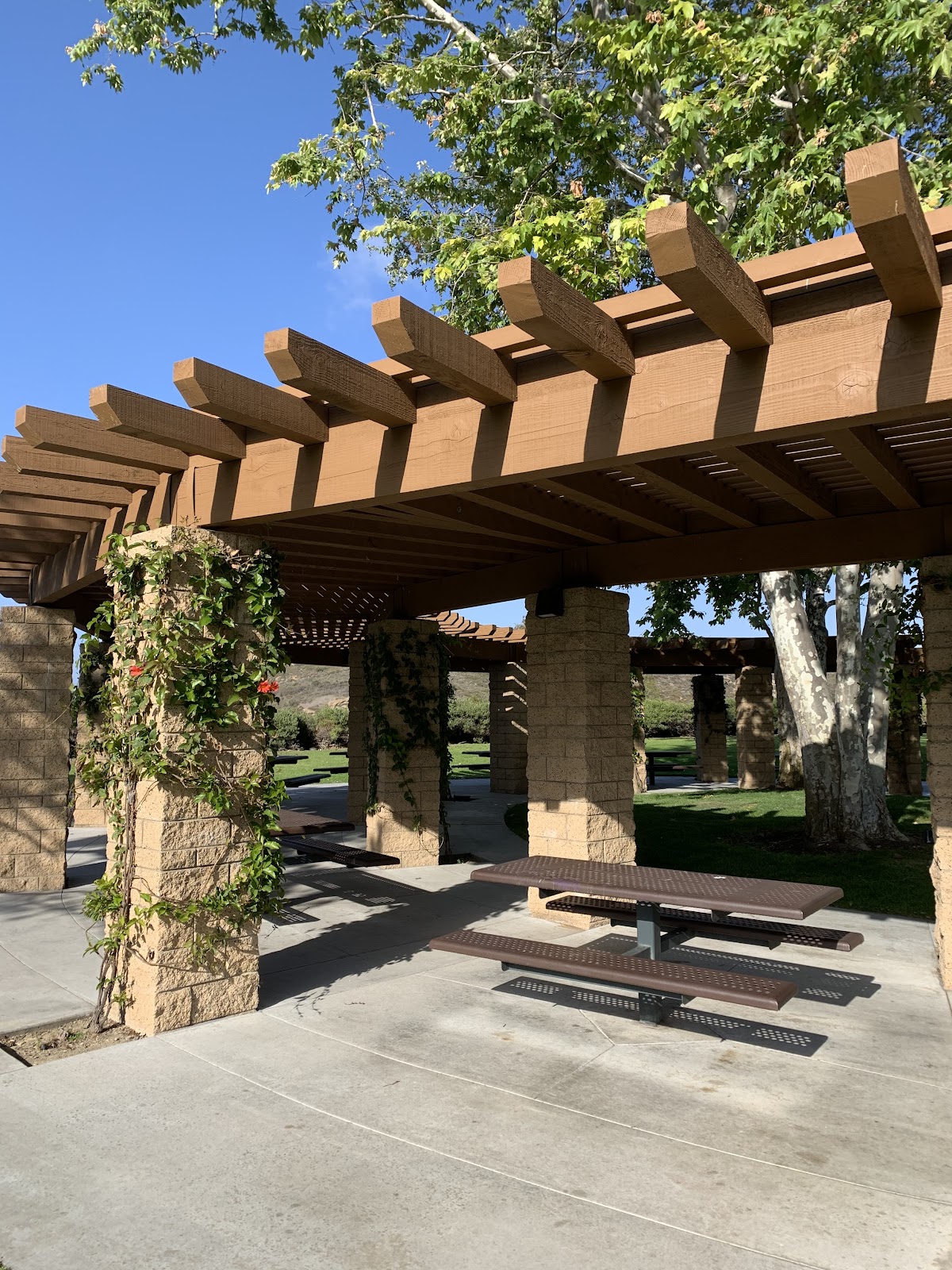 Newport Ridge Community Park - Photo 2