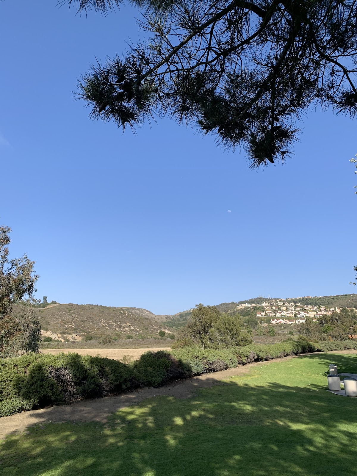 Newport Ridge Community Park - Photo 3