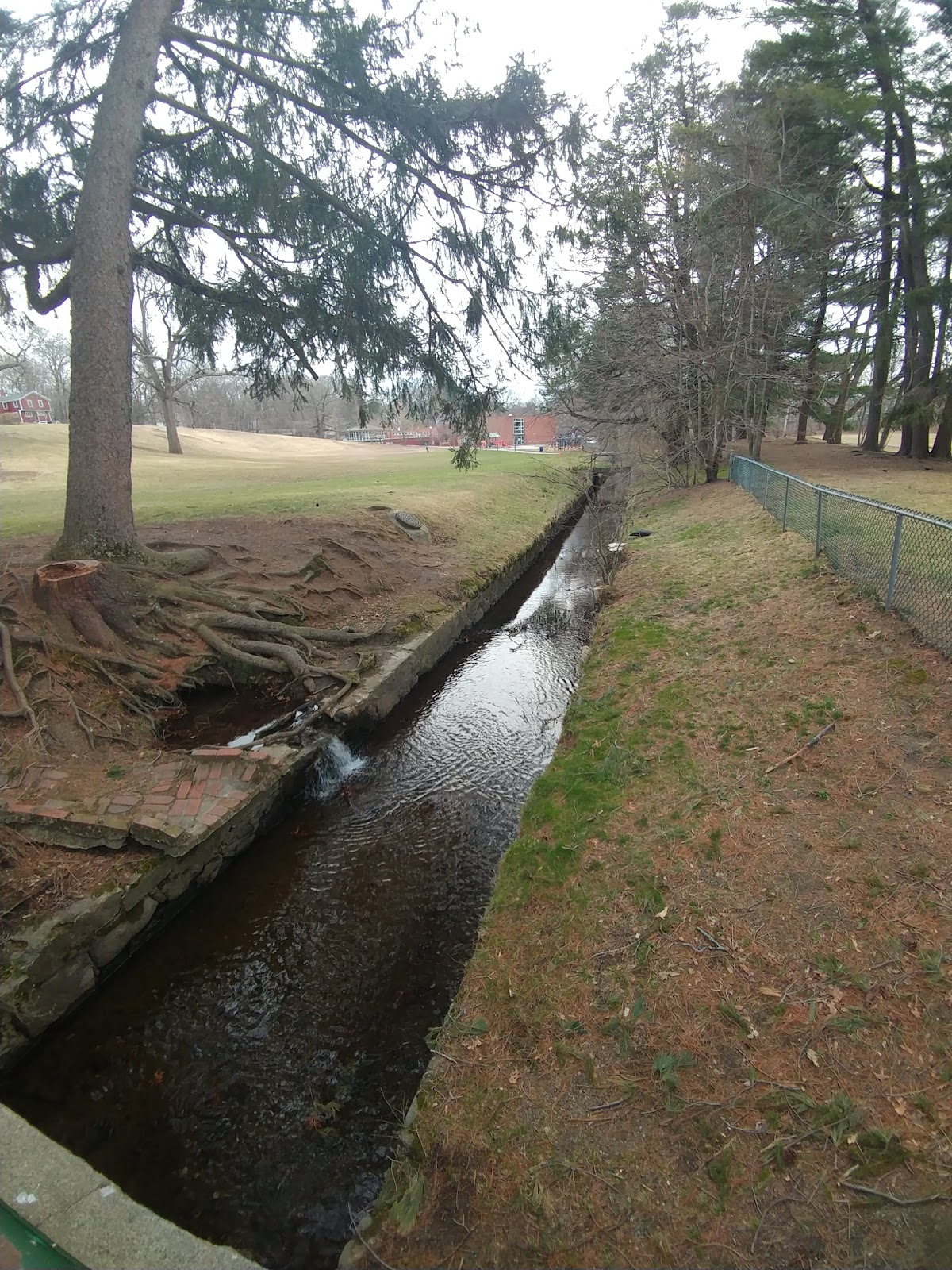 Newton Centre Playground - Photo 3
