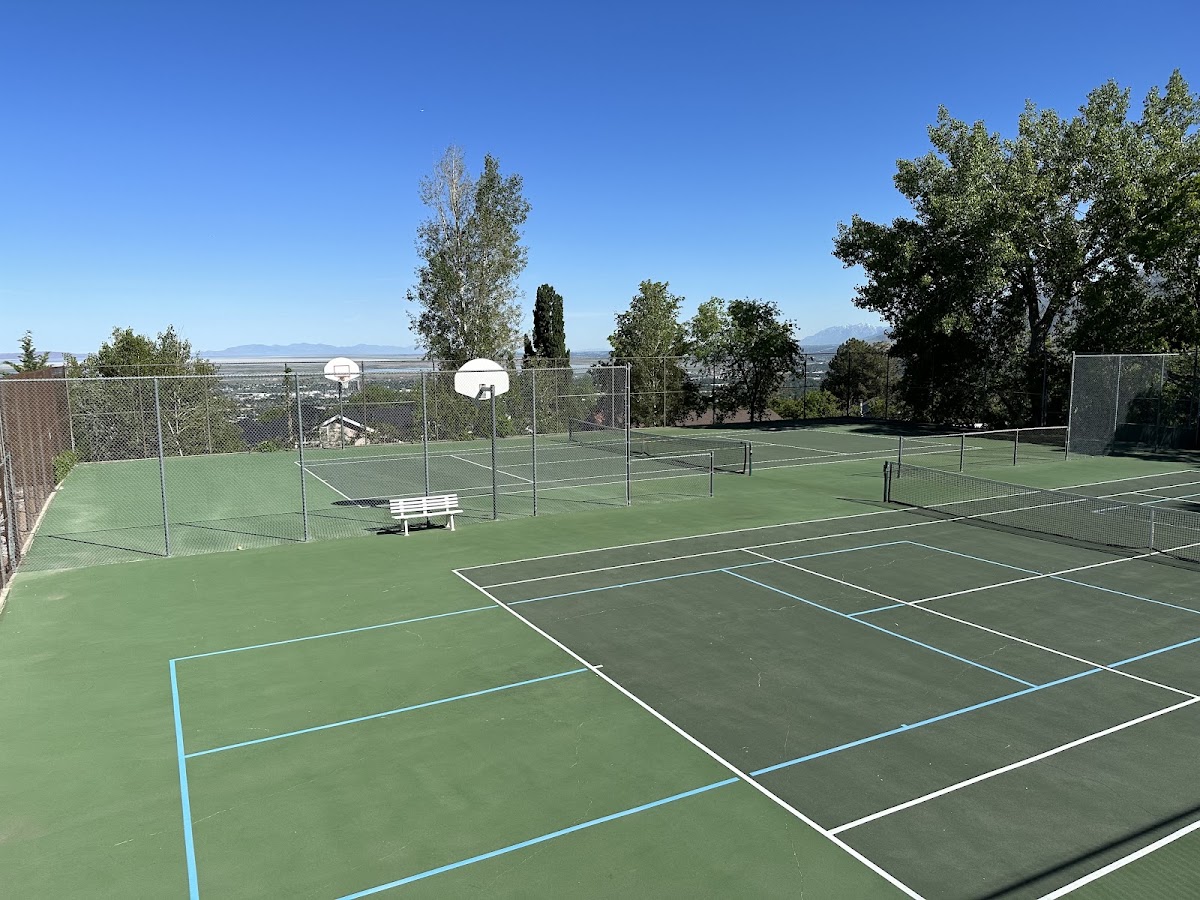 North Canyon Swim & Tennis Club - Photo 3